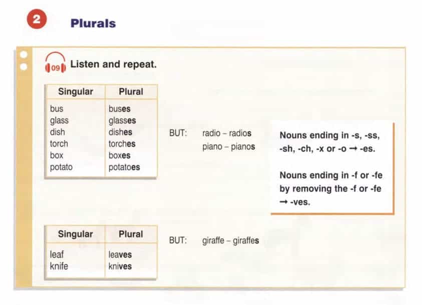 Irregular plurals. Have got/has got. Глагол have в Старлайт 2 класс. Starlight plural. Irregular plurals Round up. Starlight 3 тесты